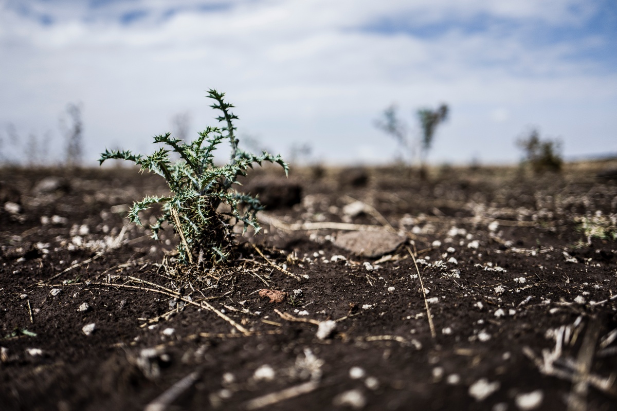 Millones de personas en el límite de la sobrevivencia por Cambio Climático