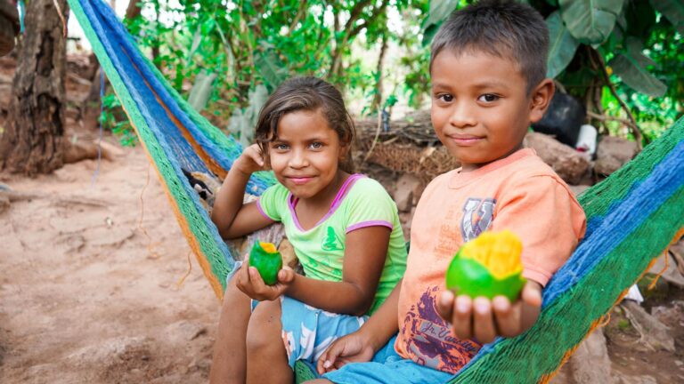 Carta abierta y recomendaciones políticas a los Estados miembros de las Naciones Unidas sobre la crisis mundial del hambre