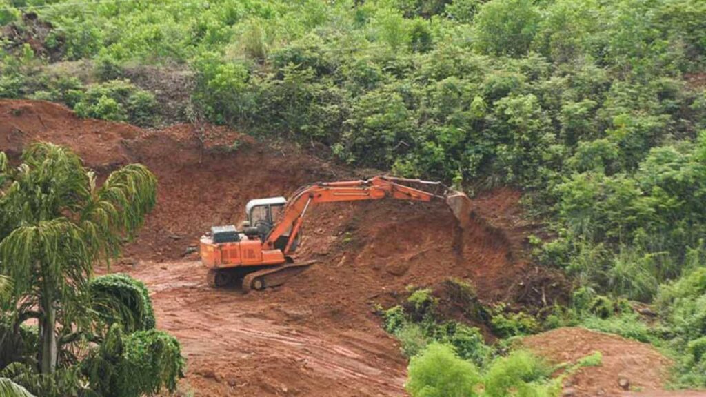 Problemas ambientales como la deforestación.