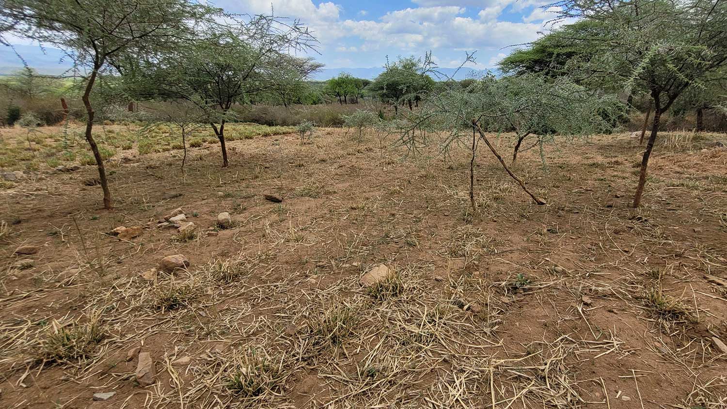 La degradación de la tierra y los conflictos