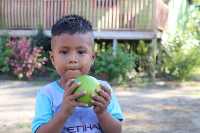 Niño cominedo una nutritiva manzana para combatir las causas de la desnutrición