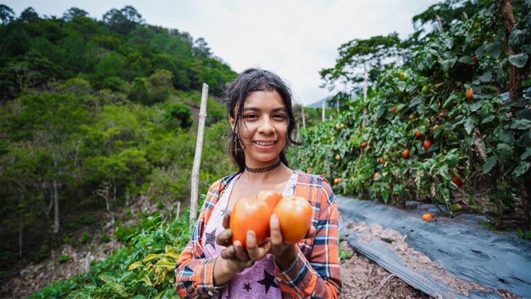 Adolescente del corredor seco muestra tomates producidos en la región.