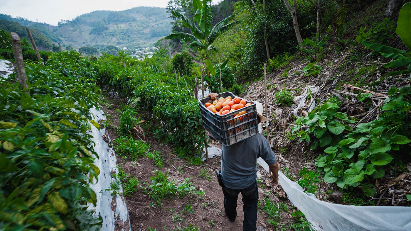 World Vision aplaude la Declaración firmada en la COP 28 sobre agricultura sostenible, sistemas alimentarios resilientes y acción por el clima
